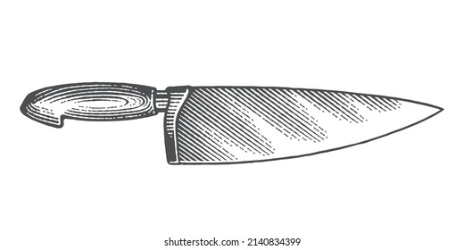 Chef's knife. Сookbook etching illustration. Hand drawn engraving style vector illustration.