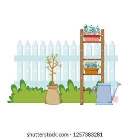 chelf garden and fence with houseplants