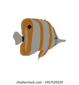 Chelmon rostratus. Sea fish. Vector illustration.