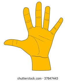 CHELOVESKY PALM