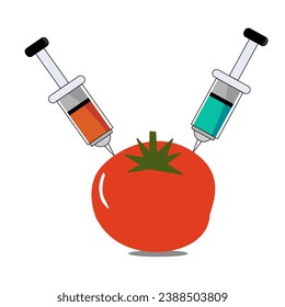 Chemical additives in food or genetically modified fruit concept. Tomato with syringes of chemicals.