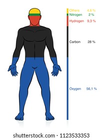 Chemical composition of the human body. Oxygen, carbon, hydrogen, and nitrogen, the basic organic chemical elements plus percent of mass information that compose a normal weight man. Abstract vector.