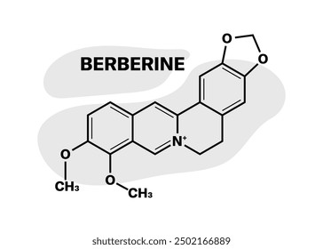 Chemical compound Berberine icon. Linear style. Vector icon.