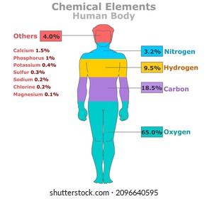Chemical Elements in Human Body. Elemental composition. Percent ratios of oxygen, carbon, hydrogen, nitrogen, calcium, phosphorus, potassium, sulfur, sodium, Cl magnesium. Man, male silhouette. Vector