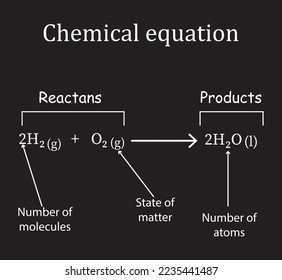 Chemical equation components. What is a chemical equation. Balancing chemical equations, for chemistry students. Vector illustration.