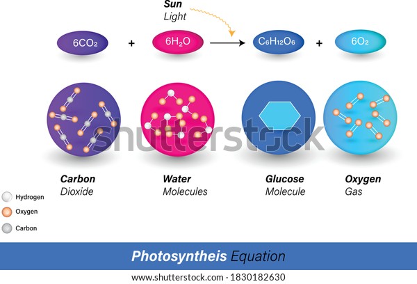 carbon dioxide formula and photosynthesis
