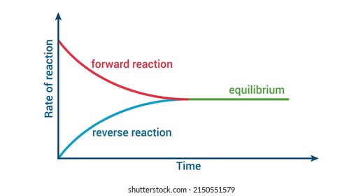 diagrama gráfico de equilibrio químico ilustración vectorial aislada en fondo blanco