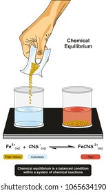 Chemical Equilibrium infographic diagram showing a lab experiment showing reactions of iron ions with thiocyanate ions and reverse reactions proceed at the same rate for chemistry and physics science 