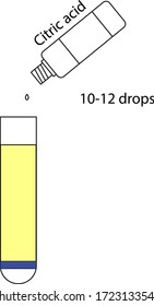 Chemisches Experiment für Kinder. Blasen in einem Reagenzglas. Stufe 4/5. Zugabe von 10-12 Tropfen Zitronensäure zu einem Reagenzglas.