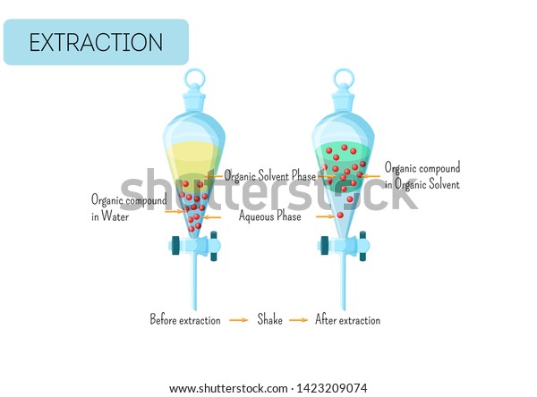Chemical extraction of organic\
compound from water solution to organic solvent diagram.\
Educational chemistry for kids. Cartoon style vector illustration.\
