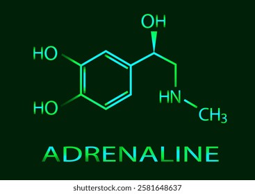 The chemical formula of adrenaline. Neon illustration. Vector EPS 10