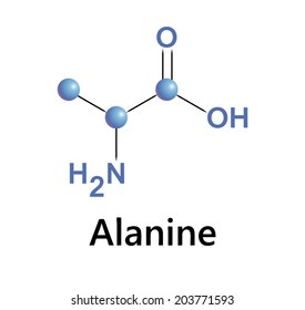 the chemical formula of alanine, vector illustration.