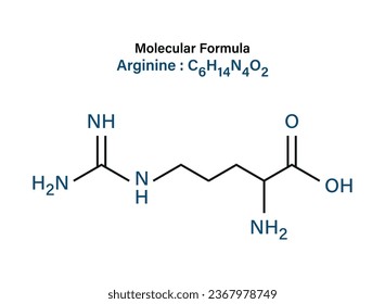 Chemical formula of Arginine (Amino Acid in Skincare) molecule skeletal vector illustration.