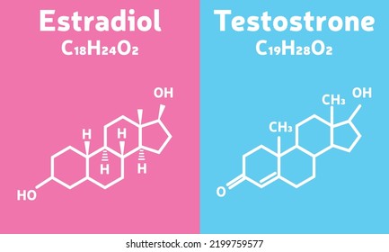 Chemical formula estradiol and testosterone. Man and woman. Gender vector illustration