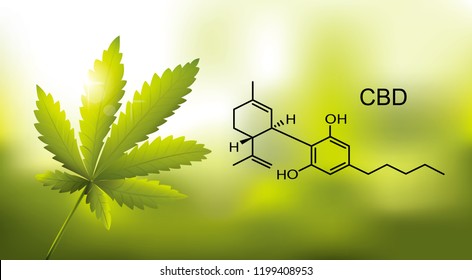 Chemical Formula Medical Of Marijuana And Cannabis CBD Oil Nature Background