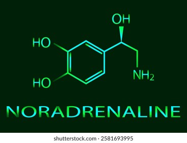 The chemical formula of noradrenaline. Neon illustration. Vector EPS 10