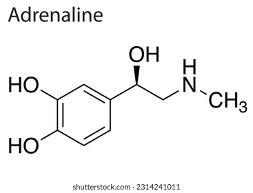 A chemical formula structure of adrenaline on white background