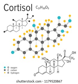 Chemical formula, structure and model of the cortisol molecule, vector illustration