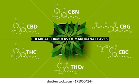 Chemical formulas of natural cannabinoids, green poster with Chemical formulas of cannabinoids and plant of cannabis, top view