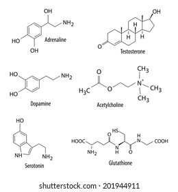 Chemical formulas of neurotransmitters and similar substances in human body