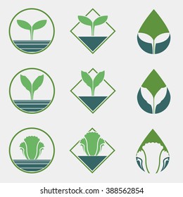 Chemical Free Vegetable Logo
