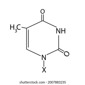 Ilustración química Compuesto de timidina (estructura de Thymine)