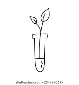Chemical lab retort with sprout plant. Vector doodle sketch