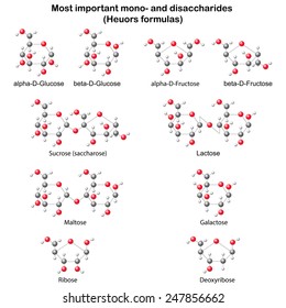 Chemical models of main mono- and disaccharides: glucose, fructose, galactose, ribose, deoxyribose, sucrose, lactose, maltose, 3d illustration ball & stick style, isolated, vector, eps 8