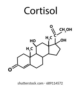 cortisol liberado cuando está estresado cortisol liberado cuando está estresado