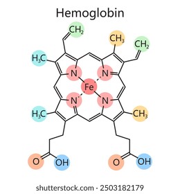 Chemical molecular structure of hemoglobin, highlighting its chemical components organic formula of diagram hand drawn schematic vector illustration. Medical science educational illustration