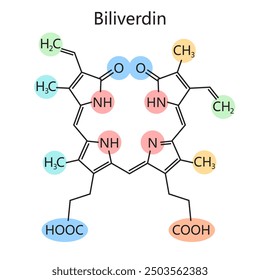Chemische molekulare Struktur des Hämoglobins, Hervorhebung seiner chemischen Komponenten organische Formel des Diagramms handgezeichnete schematische Vektorgrafik. Medizinwissenschaftliche pädagogische Darstellung