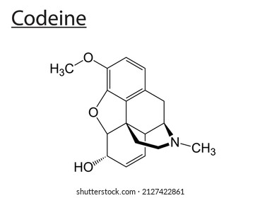 Chemical molecule structure of codeine - EPS Editable vector file svg