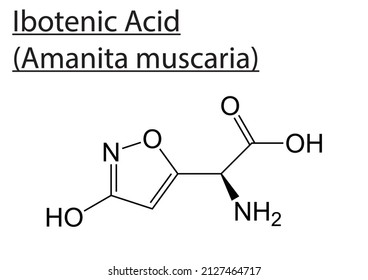 Chemical molecule structure of ibotenic acid from amanita muscaria - EPS Editable vector file