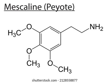 Chemical molecule structure of mescaline (peyote)- EPS Editable vector file