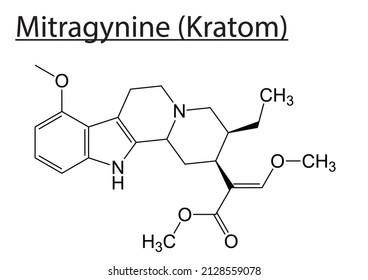 Estructura química de molécula de mitraginina (kratom) - Archivo vectorial editable EPS