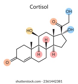 Chemical organic formula of cortisol steroid hormone diagram schematic vector illustration. Medical science educational illustration