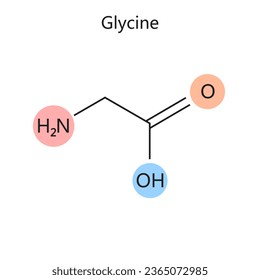 Chemical organic formula of Glycine diagram schematic vector illustration. Medical science educational illustration