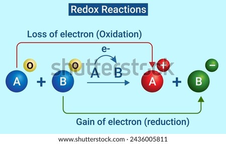 Chemical process of Redox Reactions