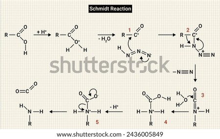 Chemical process of Schmidt reaction