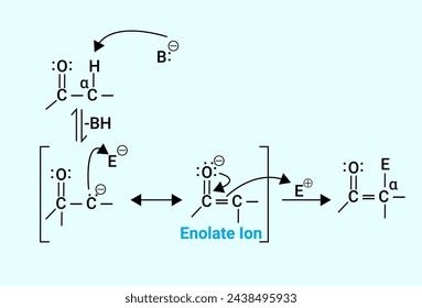 Chemical reaction of Enolate Ion svg