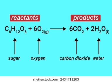 reacción química de reactivos y productos