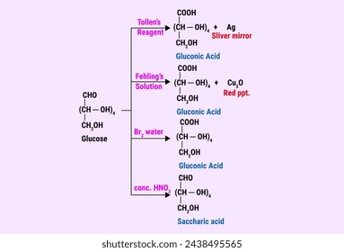 Chemical reaction of Saccharic acid