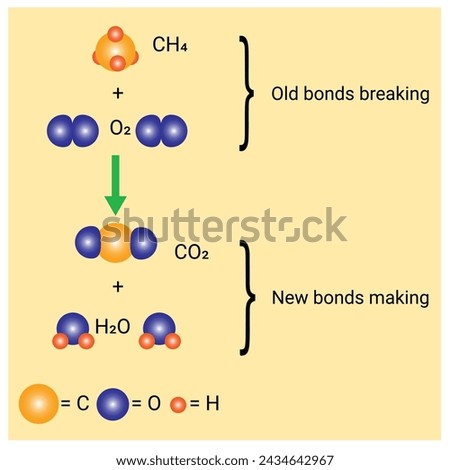Chemical reactions occur and the elements contained in a chemical substance