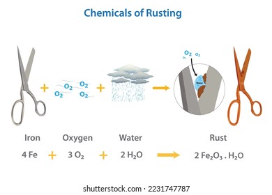 The chemical of rust formation illustration. Rusting is an iron oxide or common term for corrosion. It formed by the redox reaction of oxygen, water, and iron and its alloys. Process of rusting.