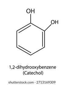 Chemische Struktur von 1,2-Dihydroxybenzolcatechol mit Hydroxylgruppen, die an benachbarte Kohlenstoffe auf dem Benzolring gebunden sind, isoliert auf transparentem Hintergrund