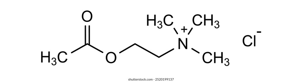 Estrutura química do cloreto de acetilcolina, substância medicamentosa