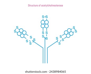 Estructura química de la acetilcolinesterasa, sobre un fondo blanco sólido.