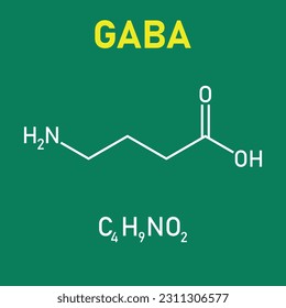 Chemical structure of γ-Aminobutyric acid or gamma-aminobutyric acid or GABA (C4H9NO2). Chemical resources for teachers and students. Vector illustration isolated on white background.