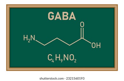 Chemical structure of γ-Aminobutyric acid or gamma-aminobutyric acid or GABA (C4H9NO2). Chemical resources for teachers and students. Vector illustration isolated on white background.