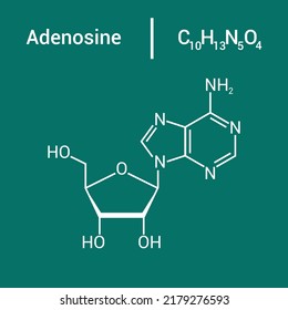 chemical structure of Adenosine (C10H13N5O4)
